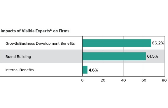 Impact of Visible Experts on Firms